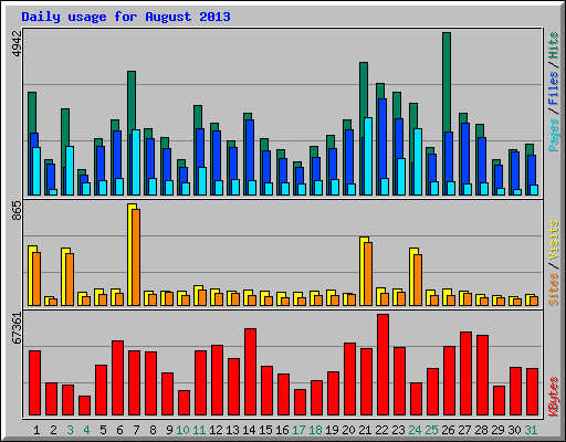 Daily usage for August 2013