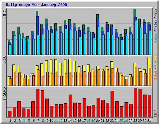 Daily usage for January 2020