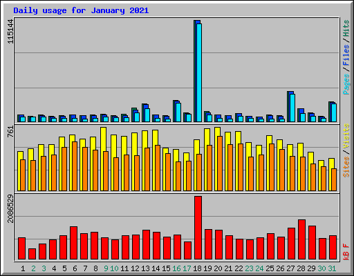 Daily usage for January 2021