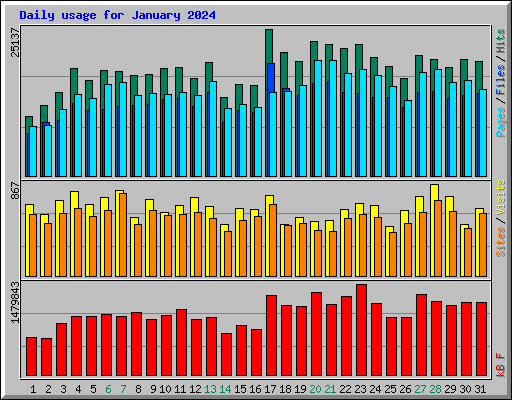 Daily usage for January 2024