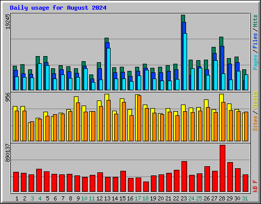 Daily usage for August 2024