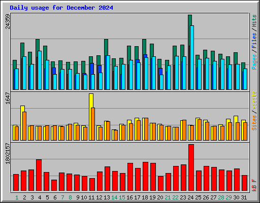 Daily usage for December 2024
