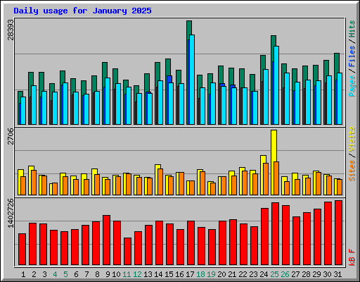 Daily usage for January 2025