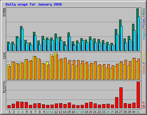 Daily usage for January 2026
