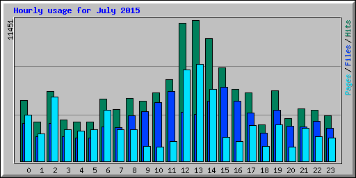Hourly usage for July 2015