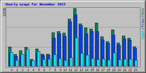 Hourly usage for November 2015