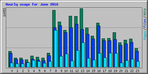 Hourly usage for June 2016