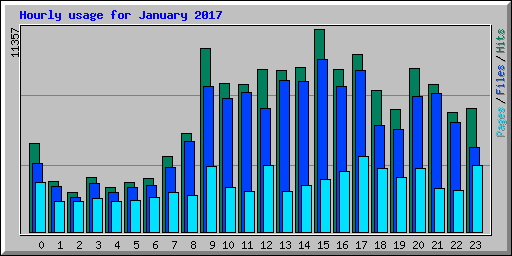 Hourly usage for January 2017