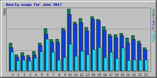 Hourly usage for June 2017