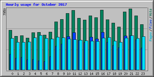 Hourly usage for October 2017