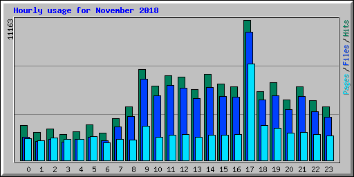 Hourly usage for November 2018