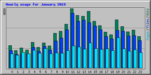Hourly usage for January 2019