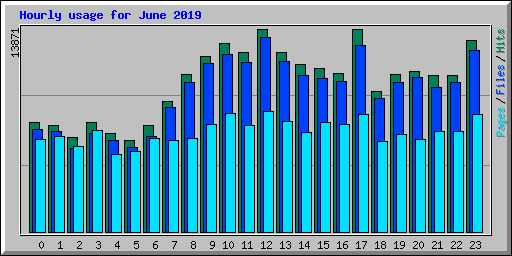 Hourly usage for June 2019