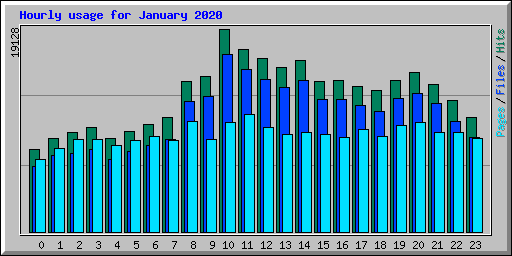 Hourly usage for January 2020