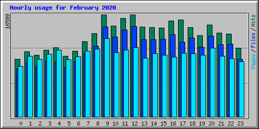 Hourly usage for February 2020