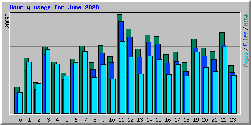 Hourly usage for June 2020