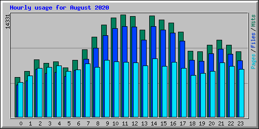 Hourly usage for August 2020