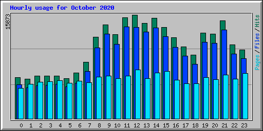 Hourly usage for October 2020