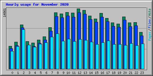Hourly usage for November 2020