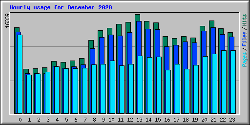 Hourly usage for December 2020
