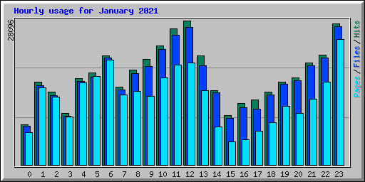 Hourly usage for January 2021
