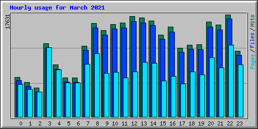 Hourly usage for March 2021