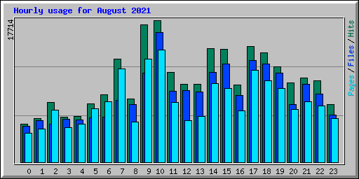 Hourly usage for August 2021