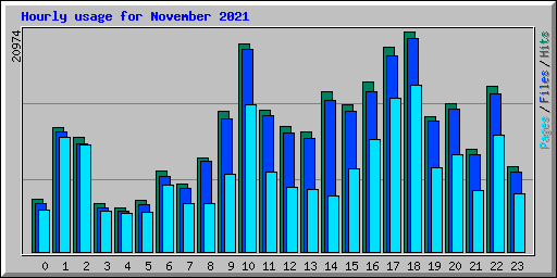 Hourly usage for November 2021