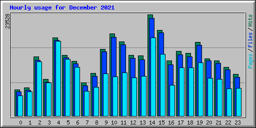 Hourly usage for December 2021