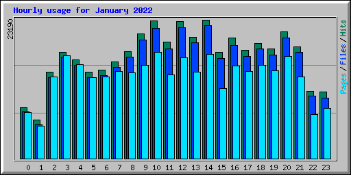 Hourly usage for January 2022
