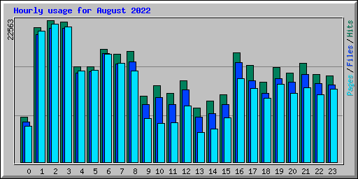Hourly usage for August 2022