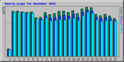 Hourly usage for November 2022