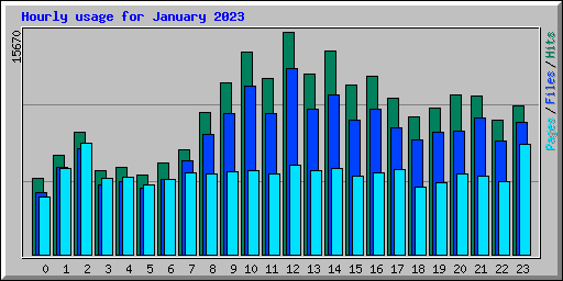 Hourly usage for January 2023