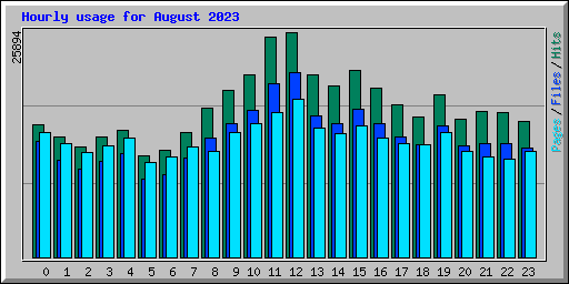 Hourly usage for August 2023