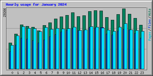 Hourly usage for January 2024