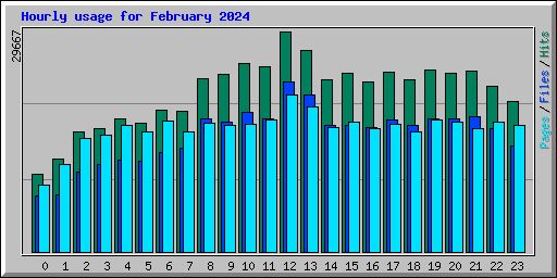 Hourly usage for February 2024