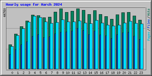 Hourly usage for March 2024