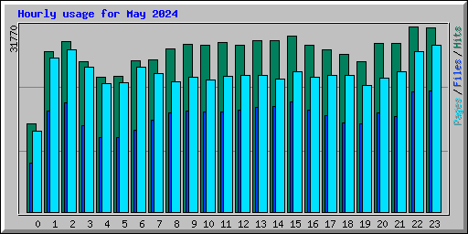 Hourly usage for May 2024