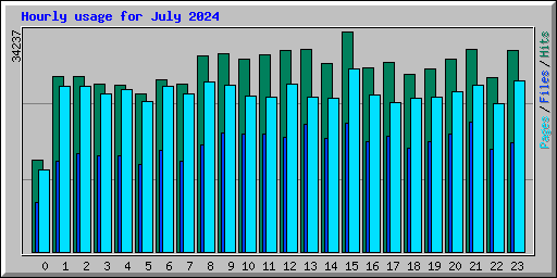 Hourly usage for July 2024