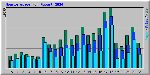 Hourly usage for August 2024