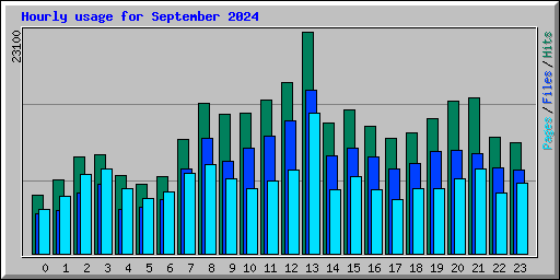Hourly usage for September 2024