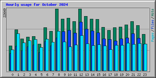 Hourly usage for October 2024