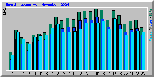 Hourly usage for November 2024