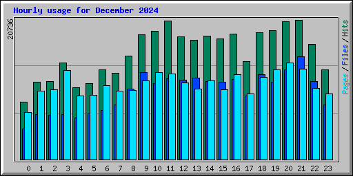 Hourly usage for December 2024