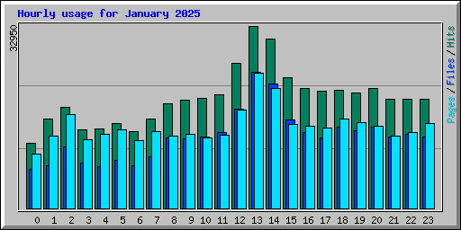 Hourly usage for January 2025