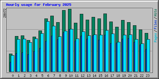 Hourly usage for February 2025