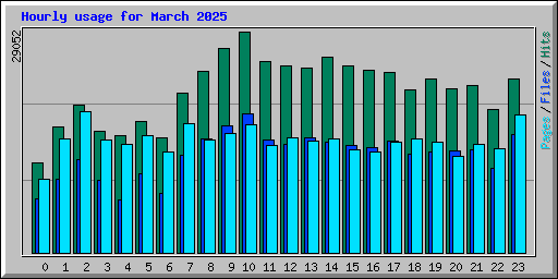 Hourly usage for March 2025
