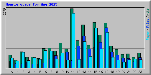 Hourly usage for May 2025
