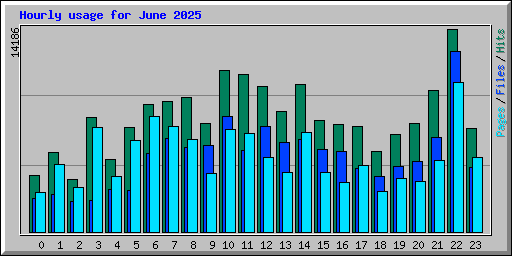 Hourly usage for June 2025