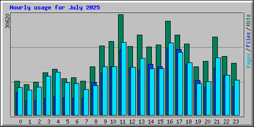 Hourly usage for July 2025